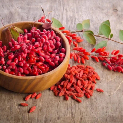Barberry